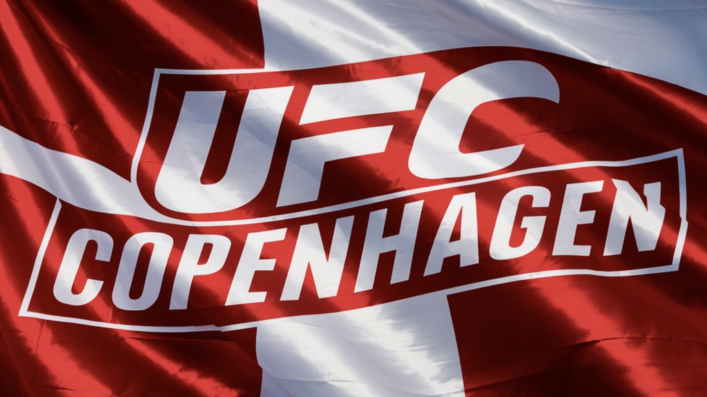 Quiz: Hvor godt kender du kæmperne fra UFC København?